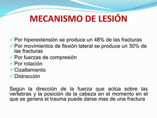 MECANISMO DE LESIÓN

 Por hiperextensión se produce un 48% de las fracturas
 Por movimientos de flexión lateral se produce un 30% de
  las fracturas
 Por fuerzas de compresión
 Por rotación
 Cizallamiento
 Distracción

Según la dirección de la fuerza que actúa sobre las
vertebras y la posición de la cabeza en el momento en el
que se genera el trauma puede darse mas de una fractura
 