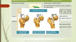 Localización de la fractura Cuello de fémur
Mecanismo de lesión - Caída sobre la cadera lateral.
- Un mecanismo de torsión (el pie se planta y
el cuerpo gira).
- Jóvenes: trauma mayor, (colisión en vehículo
motorizado o caída desde una altura).
Cadera en abducción en el momento del
traumatismo.
Cuadro clínico Dolor en cadera, incapacidad para caminar.
Fractura de cadera desplazada: mayor dolor en
ingle, pierna rotada y acortada.
Clasificación Clasificación anatómica:
 Medial: zona media del cuello femoral (95%).
 Lateral: zona lateral del cuello femoral, desde
la línea central. (5%).
Anderson AS y Loeser RF. Why in Osteoarthritis an age-related Disease? Best Pract Res Clin Rheumatol 2010; 24: 15-26.
 