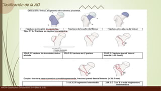 Clasificación de la AO
AOOTA Classification Compendium 2018 bilbio 5. (n.d.).
 