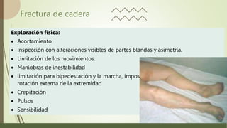 Fractura de cadera
Exploración física:
 Acortamiento
 Inspección con alteraciones visibles de partes blandas y asimetría.
 Limitación de los movimientos.
 Maniobras de inestabilidad
 limitación para bipedestación y la marcha, imposibilidad para elevar el talón,
rotación externa de la extremidad
 Crepitación
 Pulsos
 Sensibilidad
 