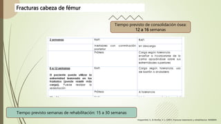 Fracturas cabeza de fémur
Tiempo previsto de consolidación ósea:
12 a 16 semanas
Tiempo previsto semanas de rehabilitación: 15 a 30 semanas
Hoppenfeld, S., & Murthy, V. L. (2001). Fracturas tratamiento y rehabilitacion. MARBÁN
 