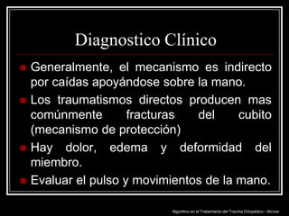 Diagnostico Clínico







Generalmente, el mecanismo es indirecto
por caídas apoyándose sobre la mano.
Los traumatismos directos producen mas
comúnmente
fracturas
del
cubito
(mecanismo de protección)
Hay dolor, edema y deformidad del
miembro.
Evaluar el pulso y movimientos de la mano.
Algoritmo en el Tratamiento del Trauma Ortopédico - Alcívar

 