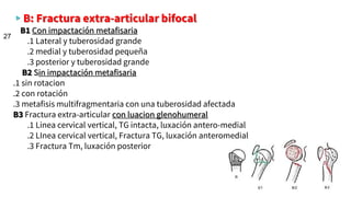 ▹B: Fractura extra-articular bifocal
B1 Con impactación metafisaria
.1 Lateral y tuberosidad grande
.2 medial y tuberosidad pequeña
.3 posterior y tuberosidad grande
B2 Sin impactación metafisaria
.1 sin rotacion
.2 con rotación
.3 metafisis multifragmentaria con una tuberosidad afectada
B3 Fractura extra-articular con luacion glenohumeral
.1 Linea cervical vertical, TG intacta, luxación antero-medial
.2 LInea cervical vertical, Fractura TG, luxación anteromedial
.3 Fractura Tm, luxación posterior
27
 