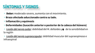 SÍNTOMAS Y SIGNOS
▹ Dolor: moderado-severo, aumenta con el movimiento.
▹Brazo afectado aduccionado contra su lado.
▹Inflamación y equimosis
▹Deformidades (luxación anterior o posterior de la cabeza del húmero)
▹ Lesión del nervio axilar: debilidad del M. deltoides y de la sensibilidad en
la región
▹ Lesión del nervio supraescapular: debilidad muscular del supraespinoso e
infraespinal
 