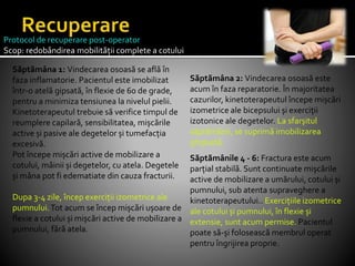 Săptămâna 1: Vindecarea osoasă se află în
faza inflamatorie. Pacientul este imobilizat
într-o atelă gipsată, în flexie de 60 de grade,
pentru a minimiza tensiunea la nivelul pielii.
Kinetoterapeutul trebuie să verifice timpul de
reumplere capilară, sensibilitatea, mișcările
active și pasive ale degetelor și tumefacția
excesivă.
Pot începe mișcări active de mobilizare a
cotului, mâinii și degetelor, cu atela. Degetele
și mâna pot fi edematiate din cauza fracturii.
Dupa 3-4 zile, încep exerciții izometrice ale
pumnului.Tot acum se încep mișcări ușoare de
flexie a cotului și mișcări active de mobilizare a
pumnului, fără atela.
Protocol de recuperare post-operator
Scop: redobândirea mobilității complete a cotului
Săptămâna 2: Vindecarea osoasă este
acum în faza reparatorie. În majoritatea
cazurilor, kinetoterapeutul începe mișcări
izometrice ale bicepsului și exerciții
izotonice ale degetelor. La sfarșitul
săptămânii, se suprimă imobilizarea
ghipsată.
Săptămânile 4 - 6: Fractura este acum
parțial stabilă. Sunt continuate mișcările
active de mobilizare a umărului, cotului și
pumnului, sub atenta supraveghere a
kinetoterapeutului.. Exercițiile izometrice
ale cotului și pumnului, în flexie și
extensie, sunt acum permise. Pacientul
poate să-și folosească membrul operat
pentru îngrijirea proprie.
 
