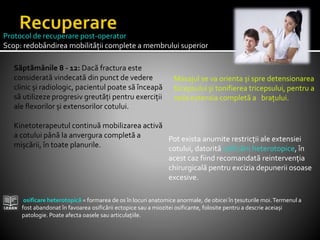Săptămânile 8 - 12: Dacă fractura este
considerată vindecată din punct de vedere
clinic și radiologic, pacientul poate să înceapă
să utilizeze progresiv greutăți pentru exerciții
ale flexorilor și extensorilor cotului.
Kinetoterapeutul continuă mobilizarea activă
a cotului până la anvergura completă a
mișcării, în toate planurile.
Protocol de recuperare post-operator
Scop: redobândirea mobilității complete a membrului superior
osificare heterotopică = formarea de os în locuri anatomice anormale, de obicei în țesuturile moi.Termenul a
fost abandonat în favoarea osificării ectopice sau a miozitei osificante, folosite pentru a descrie aceiași
patologie. Poate afecta oasele sau articulațiile.
Pot exista anumite restricții ale extensiei
cotului, datorită osificării heterotopice, în
acest caz fiind recomandată reintervenția
chirurgicală pentru excizia depunerii osoase
excesive.
Masajul se va orienta și spre detensionarea
bicepsului și tonifierea tricepsului, pentru a
reda extensia completă a brațului.
 