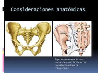 Consideraciones anatómicas

ligamentos sacroespinosos,
sacrotuberosos y lumbosacros
sacroiliacos anteriores
y posteriores

 