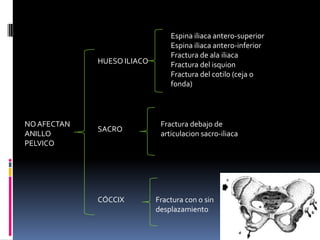 HUESO ILIACO

NO AFECTAN
ANILLO
PELVICO

SACRO

CÓCCIX

Espina iliaca antero-superior
Espina iliaca antero-inferior
Fractura de ala iliaca
Fractura del isquion
Fractura del cotilo (ceja o
fonda)

Fractura debajo de
articulacion sacro-iliaca

Fractura con o sin
desplazamiento

 