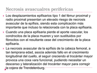 Necrosis avascualres perifericas
   Los desplazamientos epifisarios tipo 1 del fémur proximal y
    radio proximal presentan un elevado riesgo de necrosis
    avascular de la epífisis, siendo esta complicación más
    importante que incluso la relacionada con la placa epifisaria.
   Cuando una placa epifisaria pierde el aporte vascular, los
    condrocitos de la placa mueren y son sustituidos por
    fibrocitos con el resultante cese del crecimiento de la placa
    epifisaria.
   La necrosis avascular de la epífisis de la cabeza femoral, a
    tan temprana edad, asocia además fallo en el crecimiento
    longitudinal del cuello, al seguir creciendo el trocánter mayor
    provoca una coxa vara funcional, pudiendo necesitar un
    descenso y lateralización del trocánter mayor para corregir
    la cojera de Trendelenburg.
 