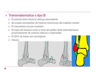    Transindesmotica o tipo B
       El peroné tiene fractura oblicua ascendente
       Se puede acompañar de fractura transversa del maléolo medial
       El mecanismo es por eversión
       El trazo de fractura inicia a nivel del plafón tibial extendiéndose
        proximalmente de manera oblicua o espiroidéa
       El 50% de éstas son quirúrgicas
       Clavos
 