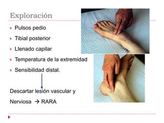 Exploración
   Pulsos pedio
   Tibial posterior
   Llenado capilar
   Temperatura de la extremidad
   Sensibilidad distal.


Descartar lesión vascular y
Nerviosa  RARA
 