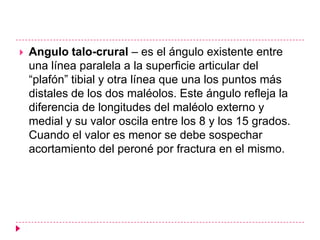    Angulo talo-crural – es el ángulo existente entre
    una línea paralela a la superficie articular del
    ―plafón‖ tibial y otra línea que una los puntos más
    distales de los dos maléolos. Este ángulo refleja la
    diferencia de longitudes del maléolo externo y
    medial y su valor oscila entre los 8 y los 15 grados.
    Cuando el valor es menor se debe sospechar
    acortamiento del peroné por fractura en el mismo.
 
