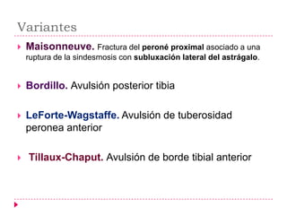 Variantes
   Maisonneuve. Fractura del peroné proximal asociado a una
    ruptura de la sindesmosis con subluxación lateral del astrágalo.


   Bordillo. Avulsión posterior tibia

   LeForte-Wagstaffe. Avulsión de tuberosidad
    peronea anterior

   Tillaux-Chaput. Avulsión de borde tibial anterior
 
