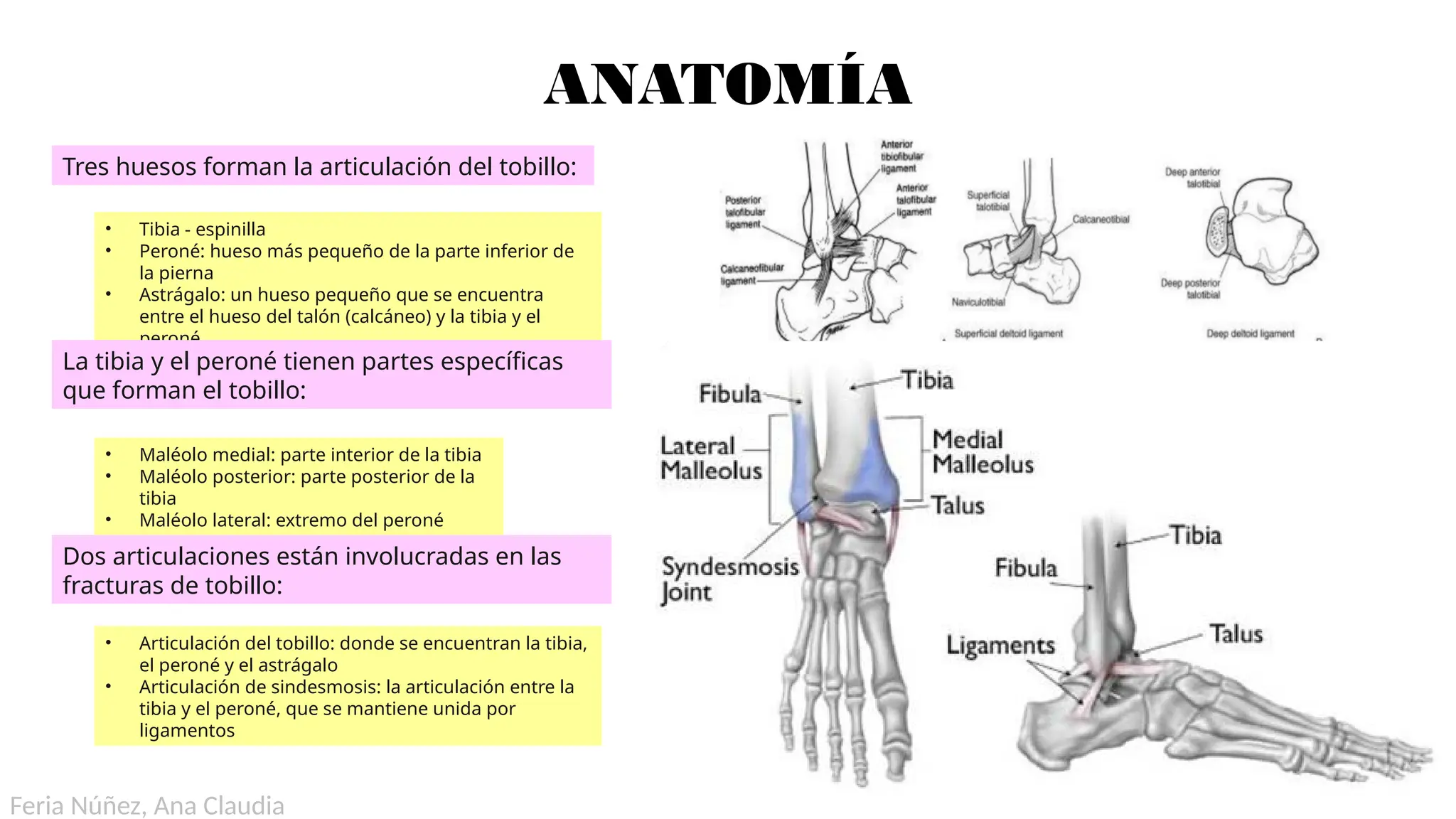 Diagrama De Tobillo Roto Como Instalar Flotante Electrico Para Tanque