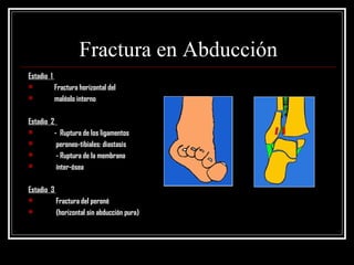 Fractura en Abducción
Estadio 1
           Fractura horizontal del
           maléolo interno

Estadio 2
           - Ruptura de los ligamentos
            peroneo-tibiales: diastasis
            - Ruptura de la membrana
            ínter-ósea

Estadio 3
           Fractura del peroné
           (horizontal sin abducción pura)
 