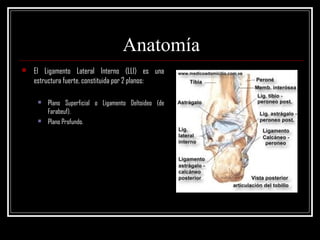Anatomía
   El Ligamento Lateral Interno (LLI) es una
    estructura fuerte, constituida por 2 planos:

        Plano Superficial o Ligamento Deltoideo (de
         Farabeuf).
        Plano Profundo.
 