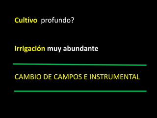 Cultivo  profundo?Irrigación muy abundanteCAMBIO DE CAMPOS E INSTRUMENTAL
