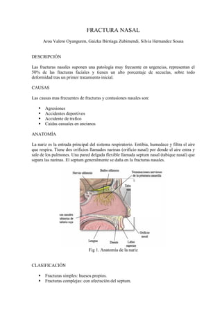 FRACTURA NASAL
      Aroa Valero Oyanguren, Gaizka Ibirriaga Zubimendi, Silvia Hernandez Sousa


DESCRIPCIÓN

Las fracturas nasales suponen una patología muy frecuente en urgencias, representan el
50% de las fracturas faciales y tienen un alto porcentaje de secuelas, sobre todo
deformidad tras un primer tratamiento inicial.

CAUSAS

Las causas mas frecuentes de fracturas y contusiones nasales son:

       Agresiones
       Accidentes deportivos
       Accidente de trafico
       Caídas casuales en ancianos

ANATOMÍA

La nariz es la entrada principal del sistema respiratorio. Entibia, humedece y filtra el aire
que respira. Tiene dos orificios llamados narinas (orificio nasal) por donde el aire entra y
sale de los pulmones. Una pared delgada flexible llamada septum nasal (tabique nasal) que
separa las narinas. El septum generalmente se daña en la fracturas nasales.




                                Fig 1. Anatomía de la nariz


CLASIFICACIÓN

       Fracturas simples: huesos propios.
       Fracturas complejas: con afectación del septum.
 