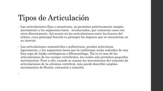 Tipos de Articulación
• Las articulaciones fijas o sinartrosis, no permiten prácticamente ningún
movimiento a los segmentos óseos involucrados, que contactan unos con
otros directamente. Así ocurre en las articulaciones entre los huesos del
cráneo, cuya principal función es proteger los órganos que se encuentran en
su interior.
• Las articulaciones semimóviles o anfiartrosis, pueden articularse
ligeramente, y los segmentos óseos que la conforman están rodeados de una
fina capa de tejido cartilaginoso o fibrocartílago. Tal es el caso de las
articulaciones de los cuerpos vertebrales, los cuales solo permiten pequeños
movimientos. Pese a ello, cuando se suman los movimientos del conjunto de
articulaciones de la columna vertebral, ésta puede describir amplios
movimientos de flexión, extensión o rotación.
•
 