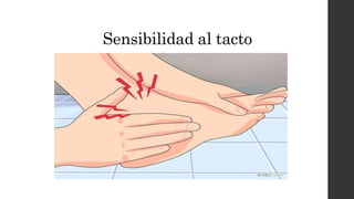 Sensibilidad al tacto
 