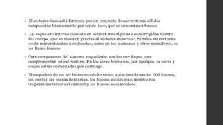 • El sistema óseo está formado por un conjunto de estructuras sólidas
compuestas básicamente por tejido óseo, que se denominan huesos
• Un esqueleto interno consiste en estructuras rígidas o semirrígidas dentro
del cuerpo, que se mueven gracias al sistema muscular. Si tales estructuras
están mineralizadas u osificadas, como en los humanos y otros mamíferos, se
les llama huesos
• Otro componente del sistema esquelético son los cartílagos, que
complementan su estructura. En los seres humanos, por ejemplo, la nariz y
orejas están sustentadas por cartílago.
• El esqueleto de un ser humano adulto tiene, aproximadamente, 206 huesos,
sin contar las piezas dentarias, los huesos sutúrales o wormianos
(supernumerarios del cráneo) y los huesos sesamoideos.
 