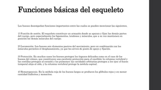 Funciones básicas del esqueleto
Los huesos desempeñan funciones importantes entre las cuales se pueden mencionar las siguientes.
1) Función de sostén. El esqueleto constituye un armazón donde se apoyan y fijan las demás partes
del cuerpo, pero especialmente los ligamentos, tendones y músculos, que a su vez mantienen en
posición los demás músculos del cuerpo.
2) Locomoción. Los huesos son elementos pasivos del movimiento, pero en combinación con los
músculos permiten el desplazamiento, ya que les sirven de punto de apoyo y fijación.
3) Protección. En muchos casos los huesos protegen los órganos delicados como en el caso de los
huesos del cráneo, que constituyen una excelente protección para el encéfalo; la columna vertebral y
las costillas protegen al corazón y los pulmones; las cavidades orbitarias protegen a los ojos; el hueso
temporal aloja al oído, y la columna vertebral protege la médula espinal.
4) Hematopoyesis. En la médula roja de los huesos largos se producen los glóbulos rojos y en menor
cantidad linfocitos y monocitos.
 