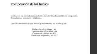 Composición de los huesos
Los huesos son estructuras resistentes de color blando amarillento compuestos
de sustancias minerales y orgánicas.
Las sales minerales le dan dureza y resistencia a los huesos y son:
Fosfato de calcio 85 por 100.
Carbonato de calcio 9 por 100
Fluoruro de calcio 4 por 100
Fosfato de magnesio 2 por 100
 