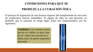 El proceso de reparación de una fractura requiere del cumplimiento de una serie
de condiciones básicas ineludibles. Si alguna de ellas no está presente, es
probable que la curación no tenga lugar. Estos tres requerimientos son los
siguientes:
CONDICIONES PARA QUE SE
PRODUZCA LA CURACIÓN ÓSEA
Viabilidad: Los extremos óseos
han de ser viables; es decir, han
de ser vitales (no necróticos) y
deben tener un aporte sanguíneo
adecuado.
 
