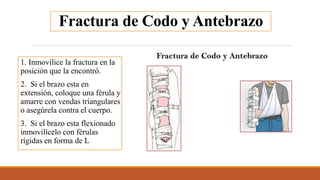 Fractura de Codo y Antebrazo
1. Inmovilice la fractura en la
posición que la encontró.
2. Si el brazo esta en
extensión, coloque una férula y
amarre con vendas triangulares
o asegúrela contra el cuerpo.
3. Si el brazo esta flexionado
inmovilícelo con férulas
rígidas en forma de L
 
