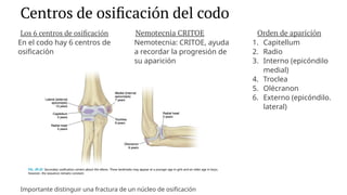 Comprehensive Overview of Pediatric Elbow Fractures: Anatomy, Diagnosis ...