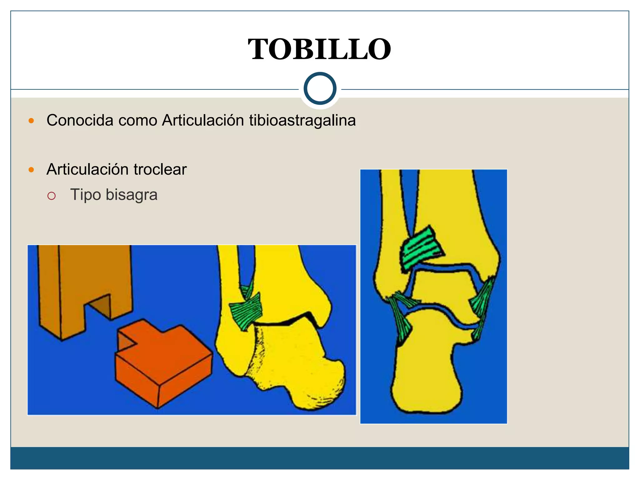 Fracturas de-tobillo | PPT