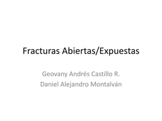 Fracturas Abiertas/Expuestas
Geovany Andrés Castillo R.
Daniel Alejandro Montalván
 