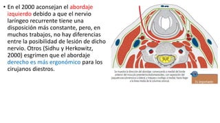 • En el 2000 aconsejan el abordaje
izquierdo debido a que el nervio
laríngeo recurrente tiene una
disposición más constante, pero, en
muchos trabajos, no hay diferencias
entre la posibilidad de lesión de dicho
nervio. Otros (Sidhu y Herkowitz,
2000) esgrimen que el abordaje
derecho es más ergonómico para los
cirujanos diestros.
 