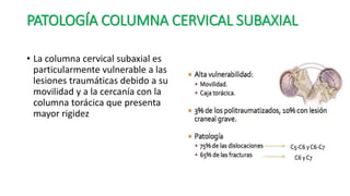 PATOLOGÍA COLUMNA CERVICAL SUBAXIAL
• La columna cervical subaxial es
particularmente vulnerable a las
lesiones traumáticas debido a su
movilidad y a la cercanía con la
columna torácica que presenta
mayor rigidez
 