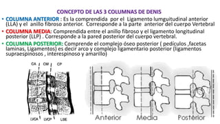 CONCEPTO DE LAS 3 COLUMNAS DE DENIS
• COLUMNA ANTERIOR : Es la comprendida por el Ligamento lumguitudinal anterior
(LLA) y el anillo fibroso anterior. Corresponde a la parte anterior del cuerpo Vertebral
• COLUMNA MEDIA: Comprendida entre el anillo fibroso y el ligamento longitudinal
posterior (LLP) . Corresponde a la pared posterior del cuerpo vertebral.
• COLUMNA POSTERIOR: Comprende el complejo óseo posterior ( pedículos ,facetas
laminas, Ligamentos) es decir arco y complejo ligamentario posterior (ligamentos
supraespinosos , interespinoso y amarillo)
 