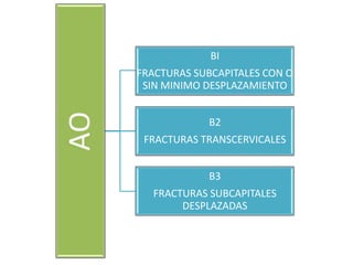 AO
BI
FRACTURAS SUBCAPITALES CON O
SIN MINIMO DESPLAZAMIENTO
B2
FRACTURAS TRANSCERVICALES
B3
FRACTURAS SUBCAPITALES
DESPLAZADAS
 