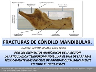 Condilo Mandibular