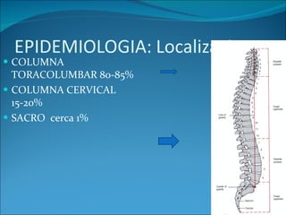 COLUMNA TORACOLUMBAR 80-85% COLUMNA CERVICAL 15-20% SACRO  cerca 1% 
