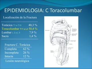 Lesión neurológica Completa  62 % Incompleta  26 % Intacta  12 % Fractura C. Torácica Torácica  T1 a T10   40,3 % Toracolumbar  T11 a L2  50,4 % Lumbar  L 2 a L 5    7,9 % Sacra    1,4 % Localización de la Fractura  __________________ __________________ ________________________ ________________________ 