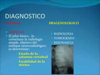 DIAGNOSTICO CLINICO IMAGENOLOGICO SOSPECHA El pilar básico , lo constituye la radiología simple,  objetivo del enfoque neuroradiológico es determinar:  Estado de la columna vertebral  Estabilidad de la misma.  RADIOLOGIA  TOMOGRAFIA RESONANCIA 