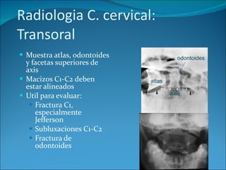 Radiologia C. cervical:  Transoral Muestra atlas, odontoides y facetas superiores de axis Macizos C1-C2 deben estar alineados Util para evaluar: Fractura C1, especialmente Jefferson Subluxaciones C1-C2 Fractura de odontoides atlas odontoides axis 