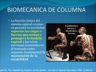 BIOMECANICA DE COLUMNA La función básica del sistema espinal consiste en permitir la movilidad,  soportar las cargas o fuerzas que actúan y proteger a la médula espinal  y las raíces nerviosas contenidas en él teniendo como requisito fundamental  la   mantención   de   la   estabilidad .  Panjabi M. The Stabilizing System of the Spine . Journal of Spinal Disorders 1993 ;5:383-9- 