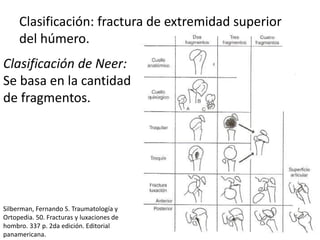 Clasificación: fractura de extremidad superior
del húmero.
Clasificación de Neer:
Se basa en la cantidad
de fragmentos.
Silberman, Fernando S. Traumatología y
Ortopedia. 50. Fracturas y luxaciones de
hombro. 337 p. 2da edición. Editorial
panamericana.
 