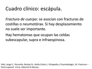 Cuadro clínico: escápula.
Fractura de cuerpo: se asocian con fracturas de
costillas o neumotórax. Si hay desplazamiento
no suele ser importante.
Hay hematomas que ocupan las celdas
subescapular, supra e infraespinosa.
Valls, Jorge E., Perruello, Nicolas N., Aiello Carlos L. Ortopedia y Traumatología. 14. Fracturas –
Parte especial. 114 p. Editorial El Ateneo.
 
