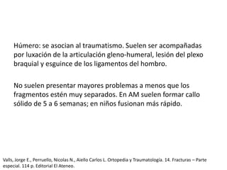 Húmero: se asocian al traumatismo. Suelen ser acompañadas
por luxación de la articulación gleno-humeral, lesión del plexo
braquial y esguince de los ligamentos del hombro.
No suelen presentar mayores problemas a menos que los
fragmentos estén muy separados. En AM suelen formar callo
sólido de 5 a 6 semanas; en niños fusionan más rápido.
Valls, Jorge E., Perruello, Nicolas N., Aiello Carlos L. Ortopedia y Traumatología. 14. Fracturas – Parte
especial. 114 p. Editorial El Ateneo.
 