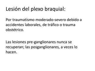 Lesión del plexo braquial:
Por traumatismo moderado-severo debido a
accidentes laborales, de tráfico o trauma
obstétrico.
Las lesiones pre-ganglionares nunca se
recuperan; las posganglionares, a veces lo
hacen.
 