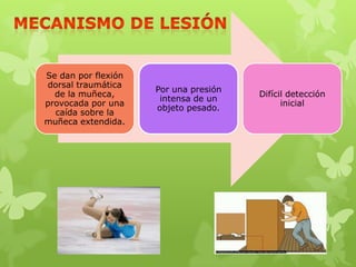 Se dan por flexión
dorsal traumática
                     Por una presión
  de la muñeca,                        Difícil detección
                      intensa de un
provocada por una                            inicial
                     objeto pesado.
  caída sobre la
muñeca extendida.
 