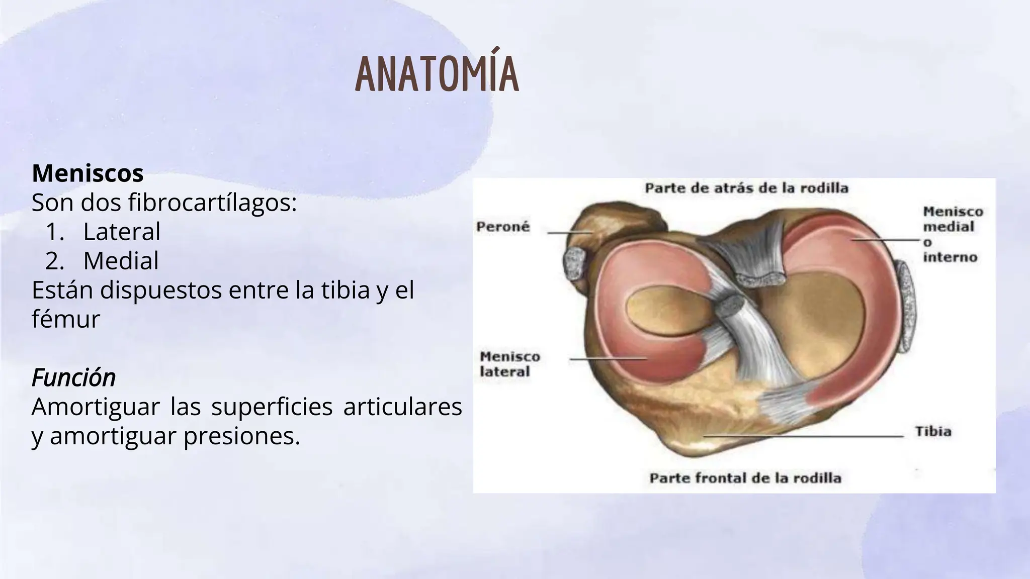 FRACTURAS DE LA MESETA TIBIAL c.pptx