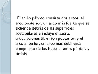 El anillo pélvico consiste dos arcos: el
arco posterior, un arco más fuerte que se
extiende detrás de las superficies
acetabulares e incluye el sacro,
articulaciones SI, e ilion posterior, y el
arco anterior, un arco más débil está
compuesto de los huesos ramas púbicas y
sínfisis
 