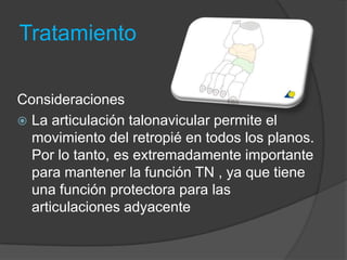 Tratamiento
Consideraciones
 La articulación talonavicular permite el
movimiento del retropié en todos los planos.
Por lo tanto, es extremadamente importante
para mantener la función TN , ya que tiene
una función protectora para las
articulaciones adyacente
 